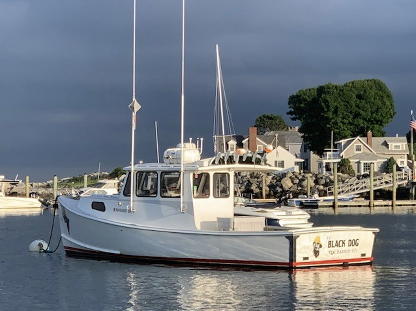 the black dog fishing boat in the nh sea with dark skies