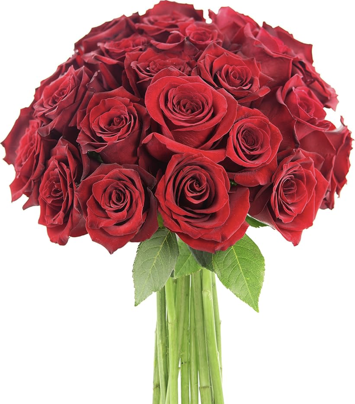 Valentines Day Roses Add-on