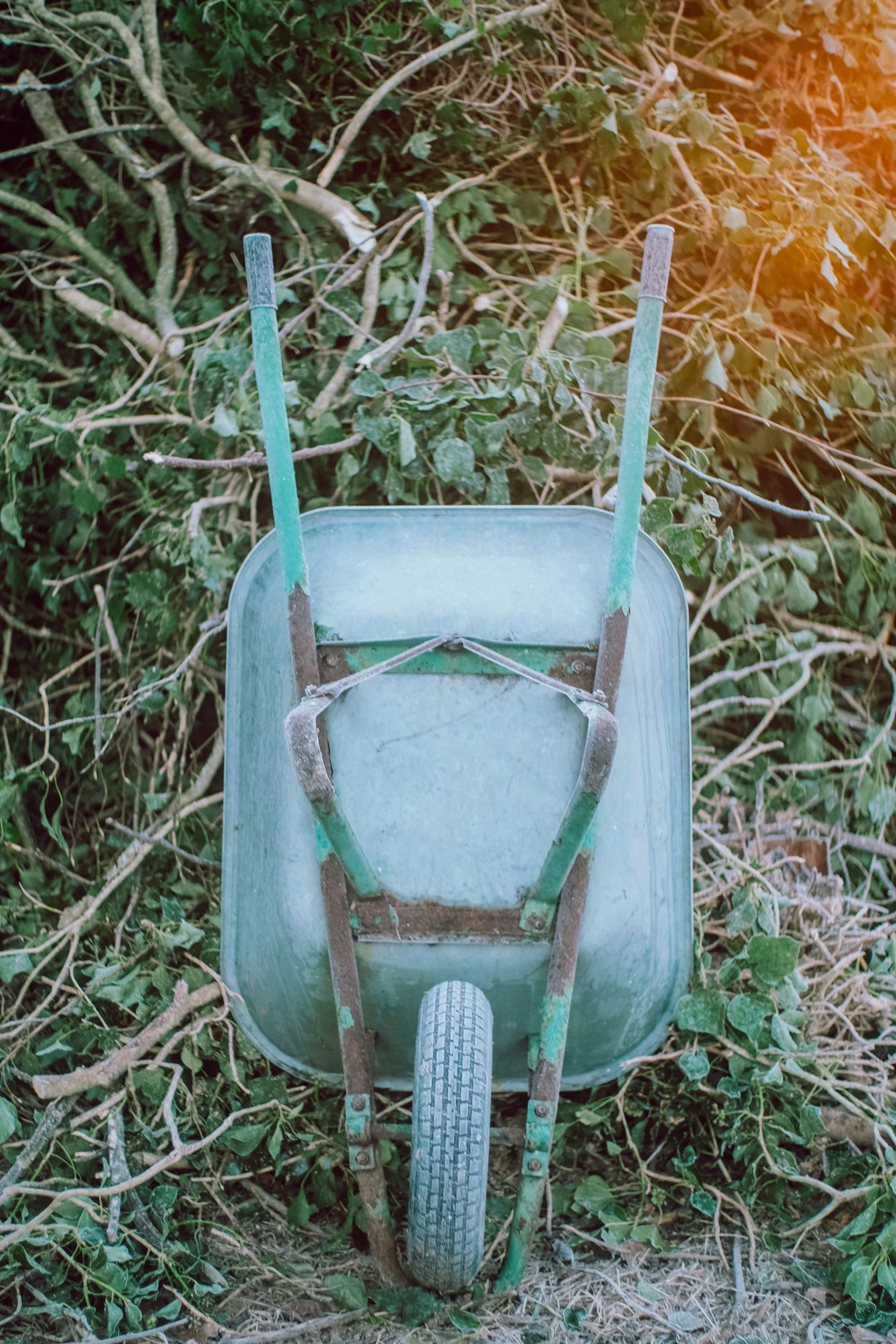 Spring Clean-Up