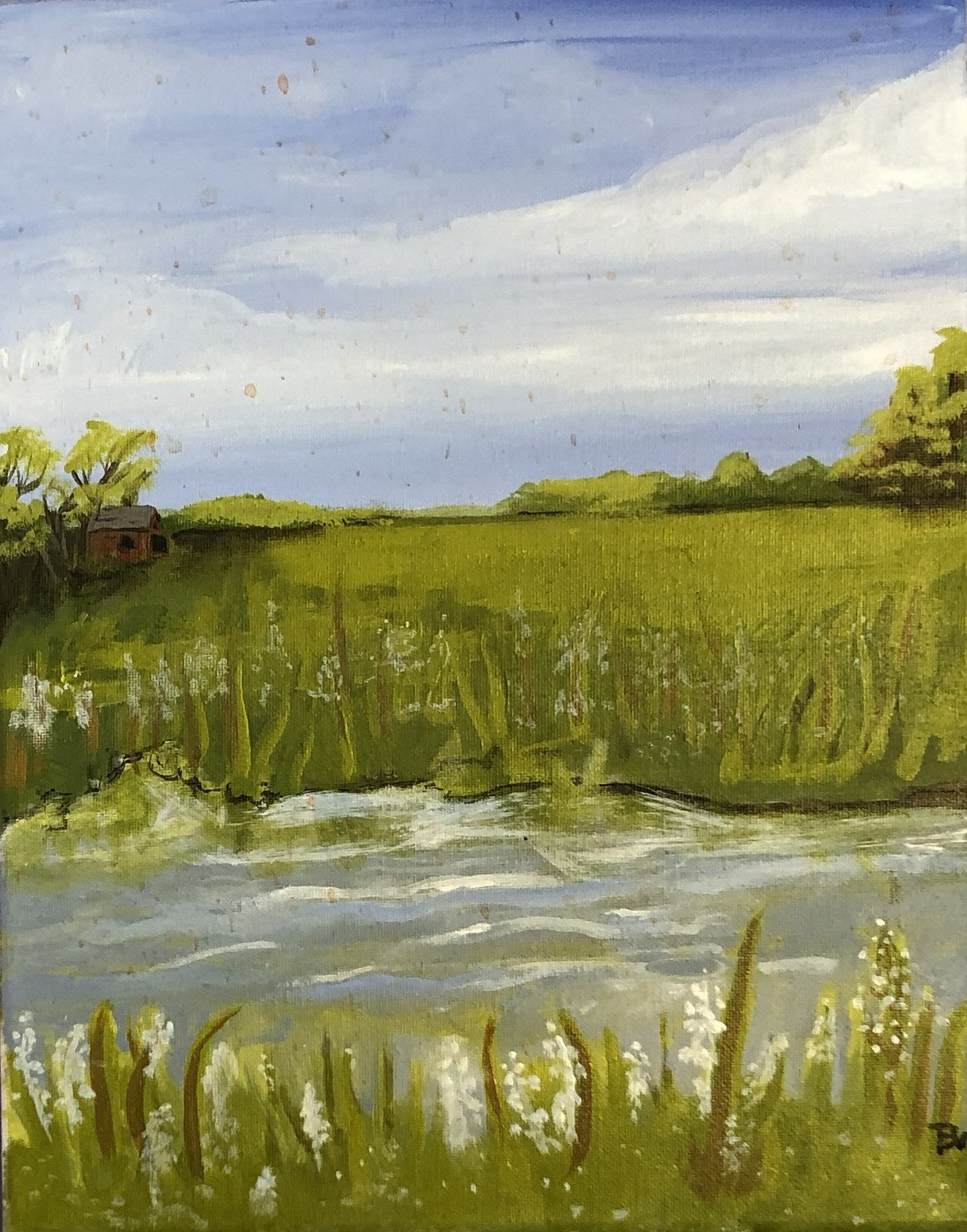 Prairie Hom