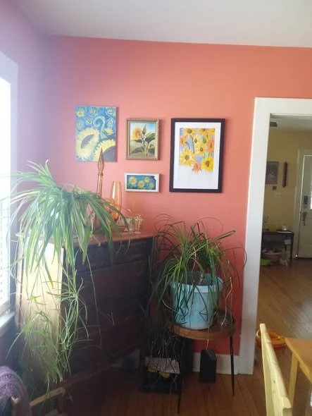 Interior of a room with pink walls, decorated with five framed pictures, including floral and nature themes. There are two large potted plants on a small table and a piece of furniture, with sunlight coming from a nearby window.