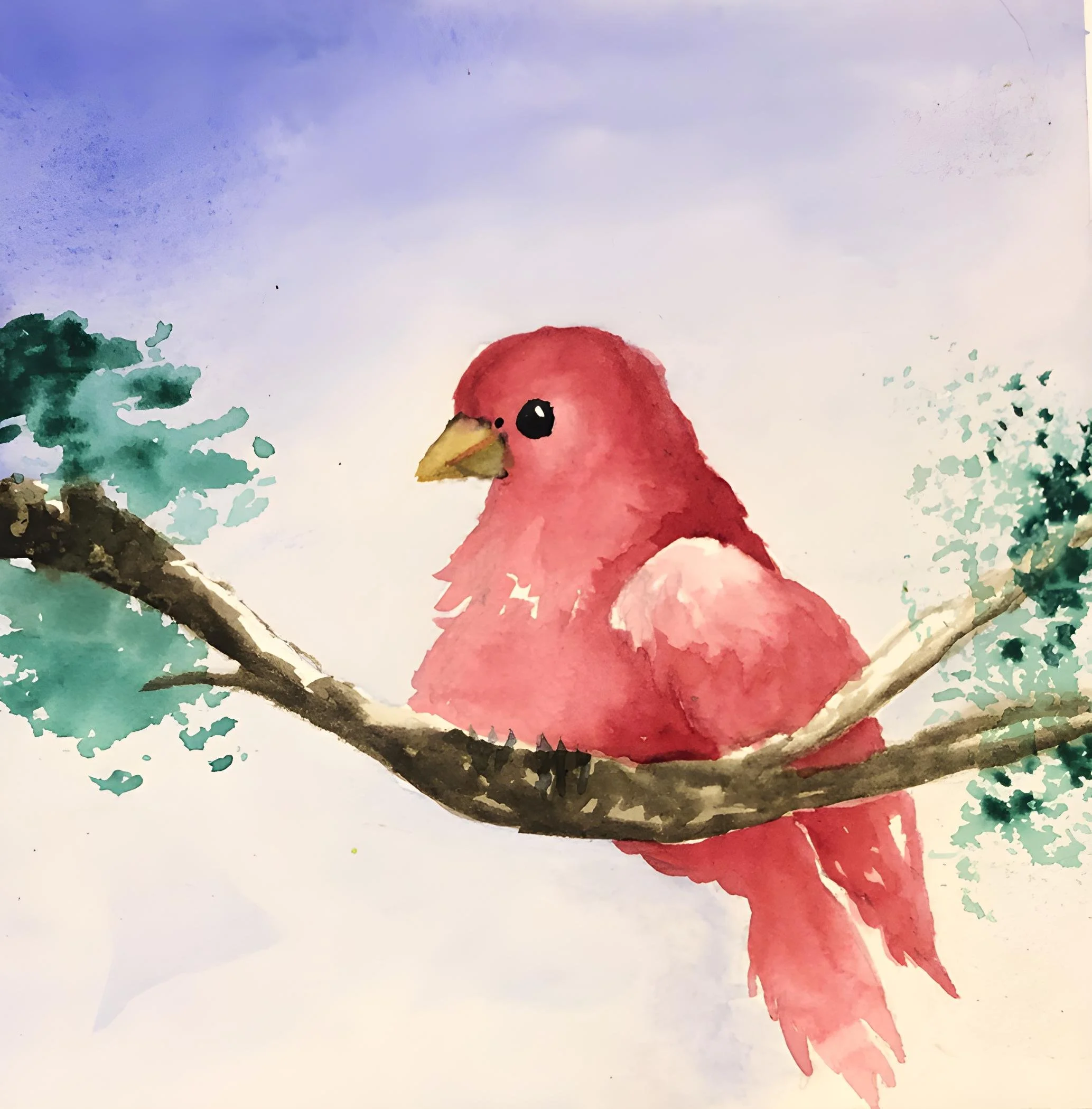 Cardinal.png