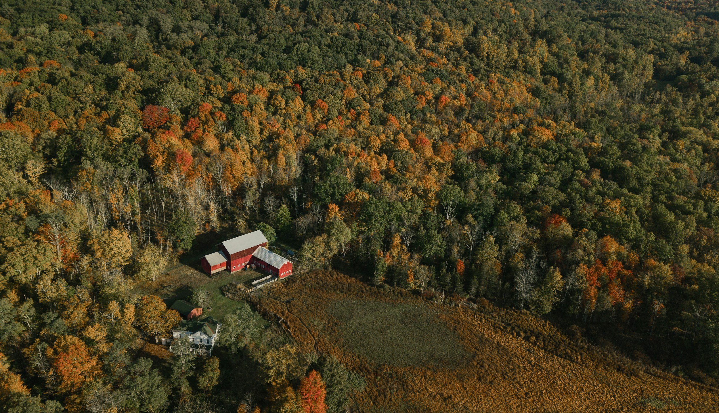 An aerial view of a farm surrounded by fall foliage with a red barn and a house nearby.