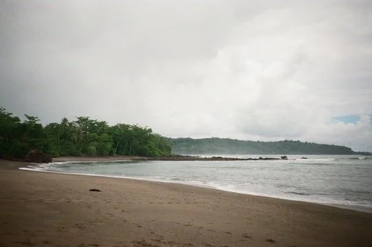 BB98A29E-C2D3-44BA-B0E5-57D44FF3979D_4_5005_c.jpeg