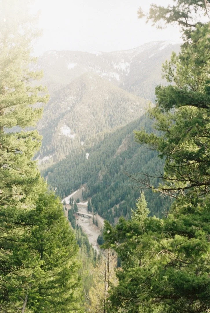 90175AFF-5CEF-4BDE-9695-313F262C8050_1_105_c.jpeg