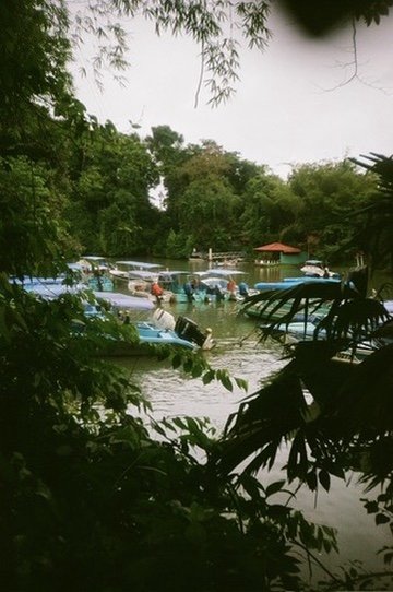 372BA59C-26F7-4193-9C2B-B8E0E657F5B9_4_5005_c.jpeg