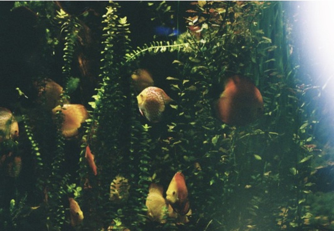 5C26EB3C-FAF3-4D67-8BA8-E14479AE7D6D_1_105_c.jpeg