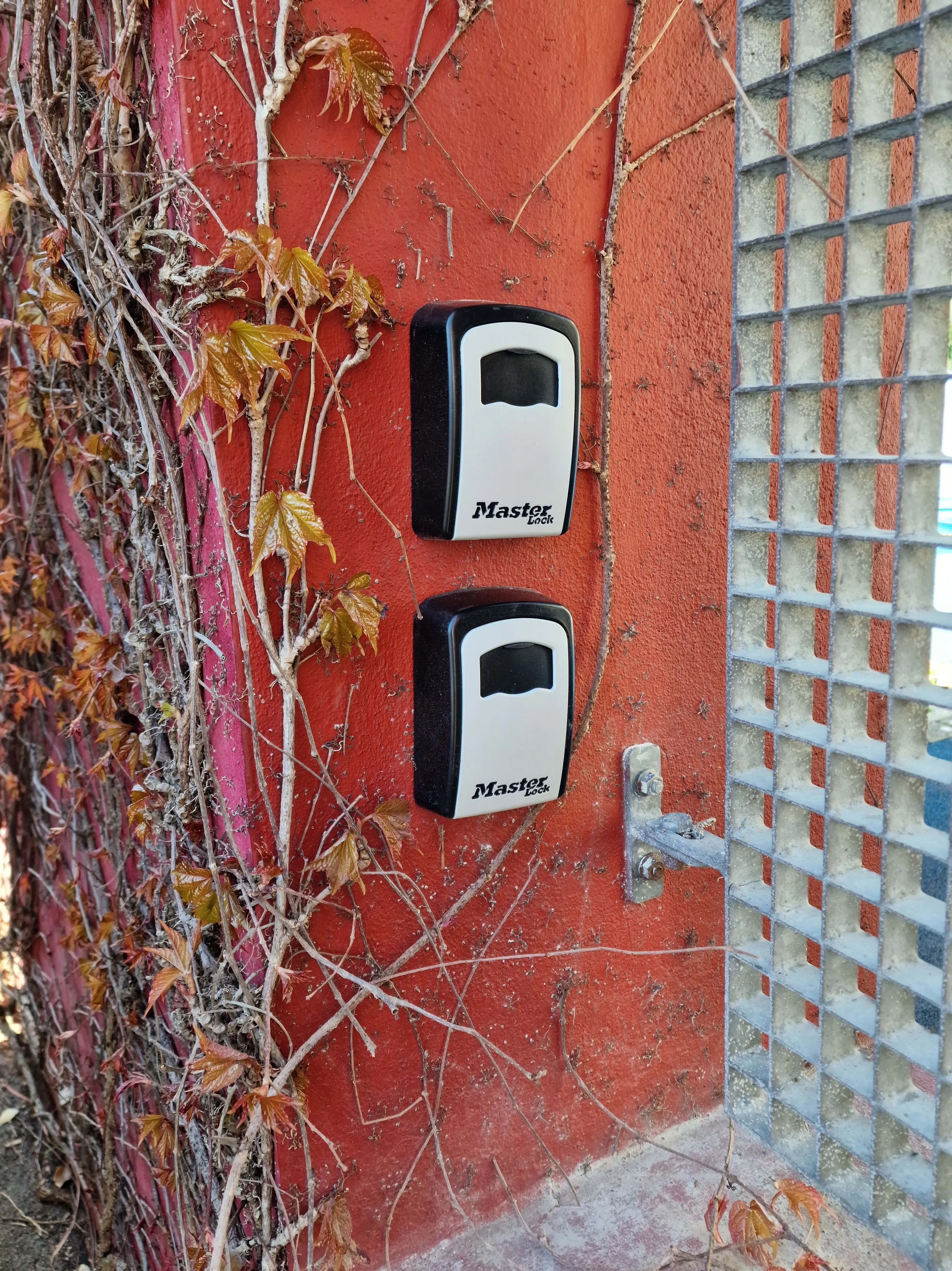 20250401_143118-min.jpg
