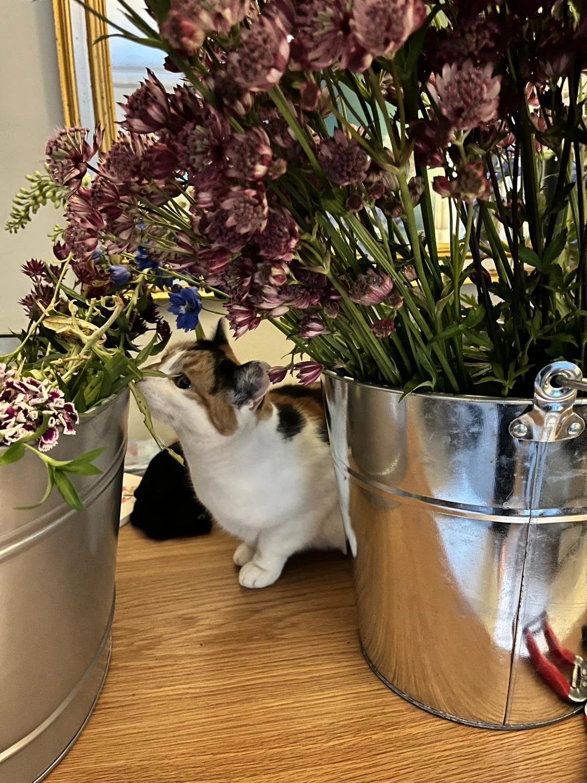 June came and went... and what a month it was!….