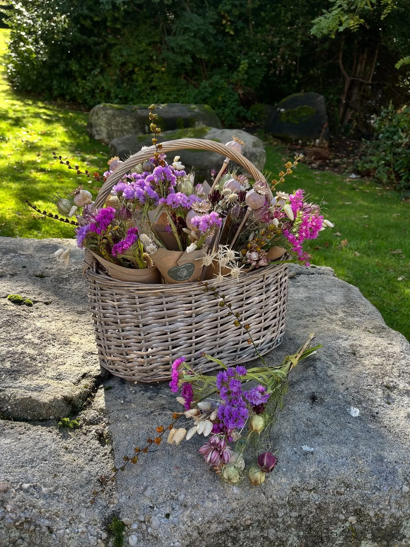 Glorious colours gathered from the plot &mdash; a basket of dried blooms, lasting summer warmth and carrying their beauty gently into autumn. Bringing something beautiful to your home. 

#driedflowersstyle #flowers #cutflower