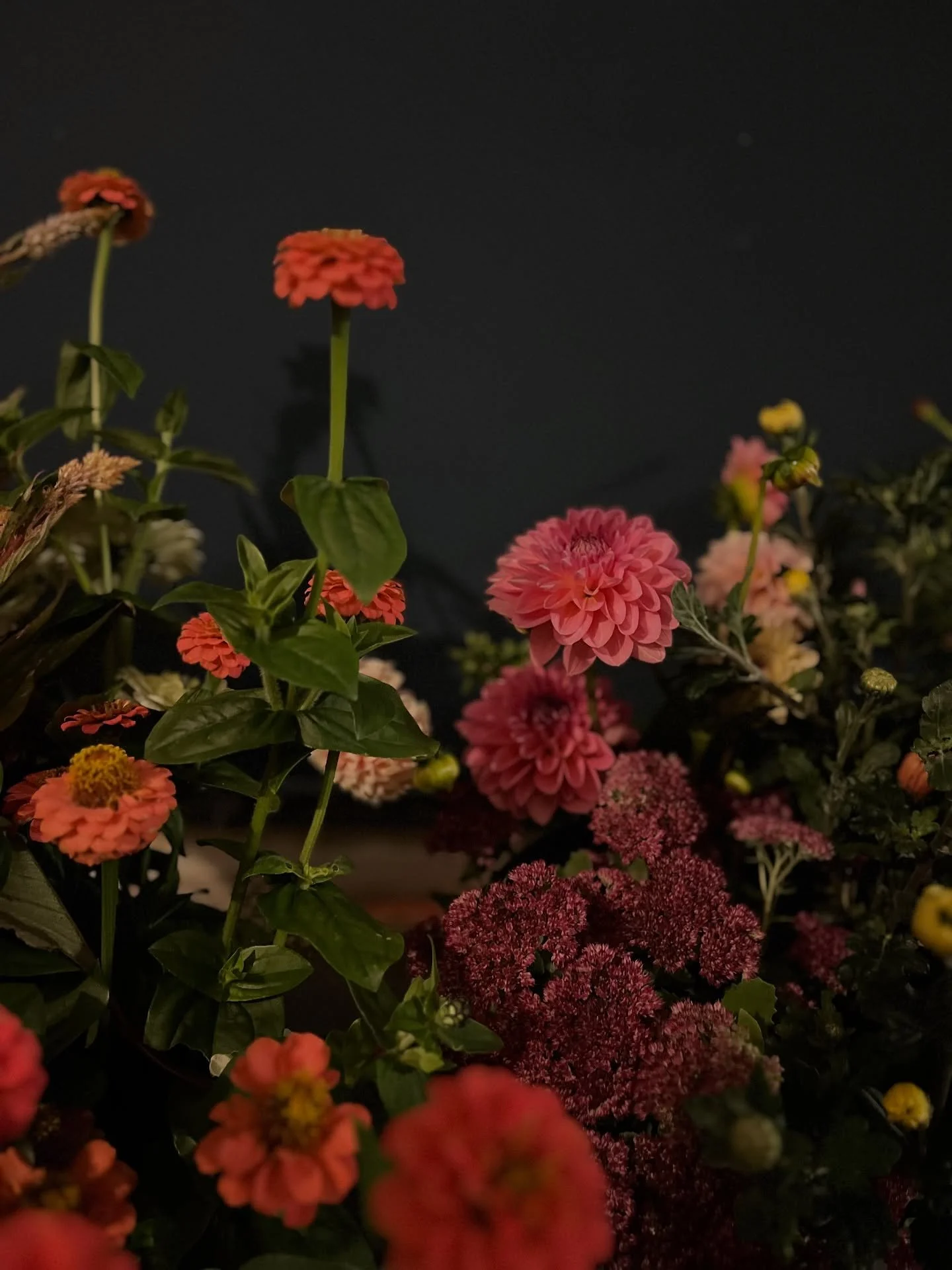 Bringing a touch of glamour to @pumpkinsandpresents this Sunday
I&rsquo;ll be filling the space with gorgeous, British  grown flowers &ndash; the kind that brighten a room and lift the spirit. 

So why not dust off your favourite vase, or treat yours
