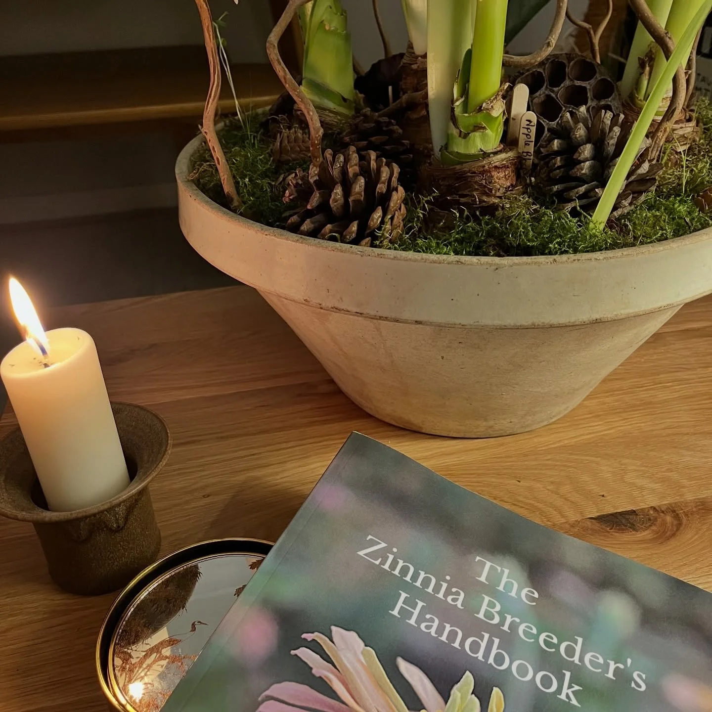 Some light reading for the year ahead.
Time to dig deeper into selection, isolation and developing new combinations. My current set-up will need a little redevelopment, but I&rsquo;m excited about what the next few years of investment will bring.
Zin