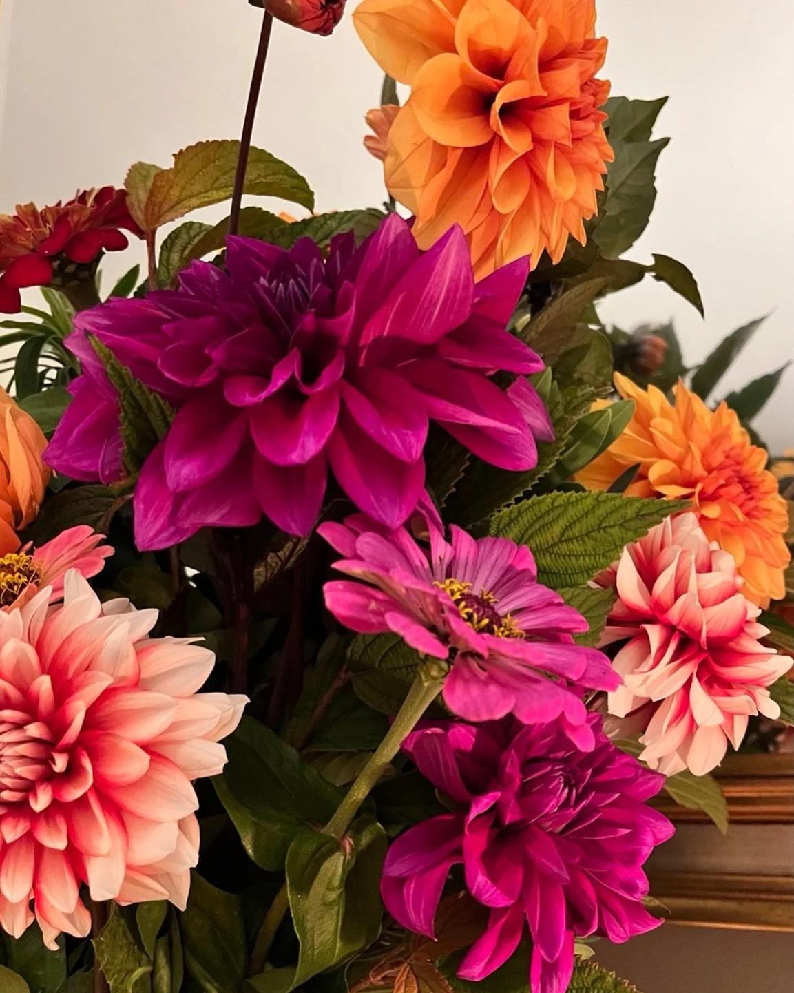 Just waiting for more of this in 2026.

#zinnia #dahlia #cutflowergarden