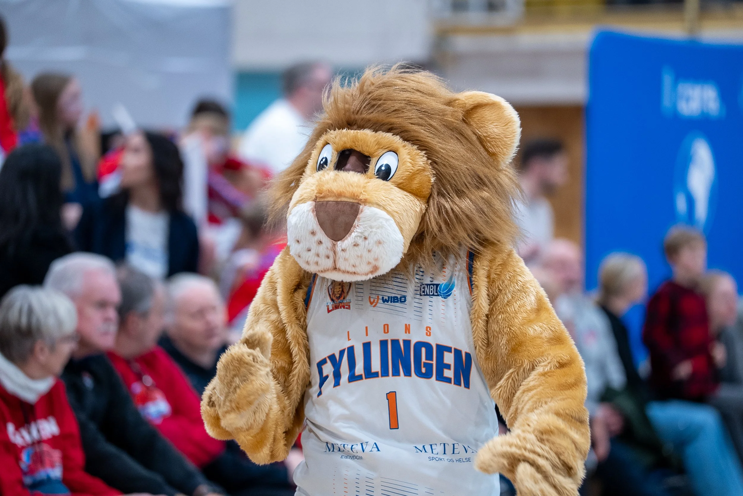 Fyllingen-09350.jpg
