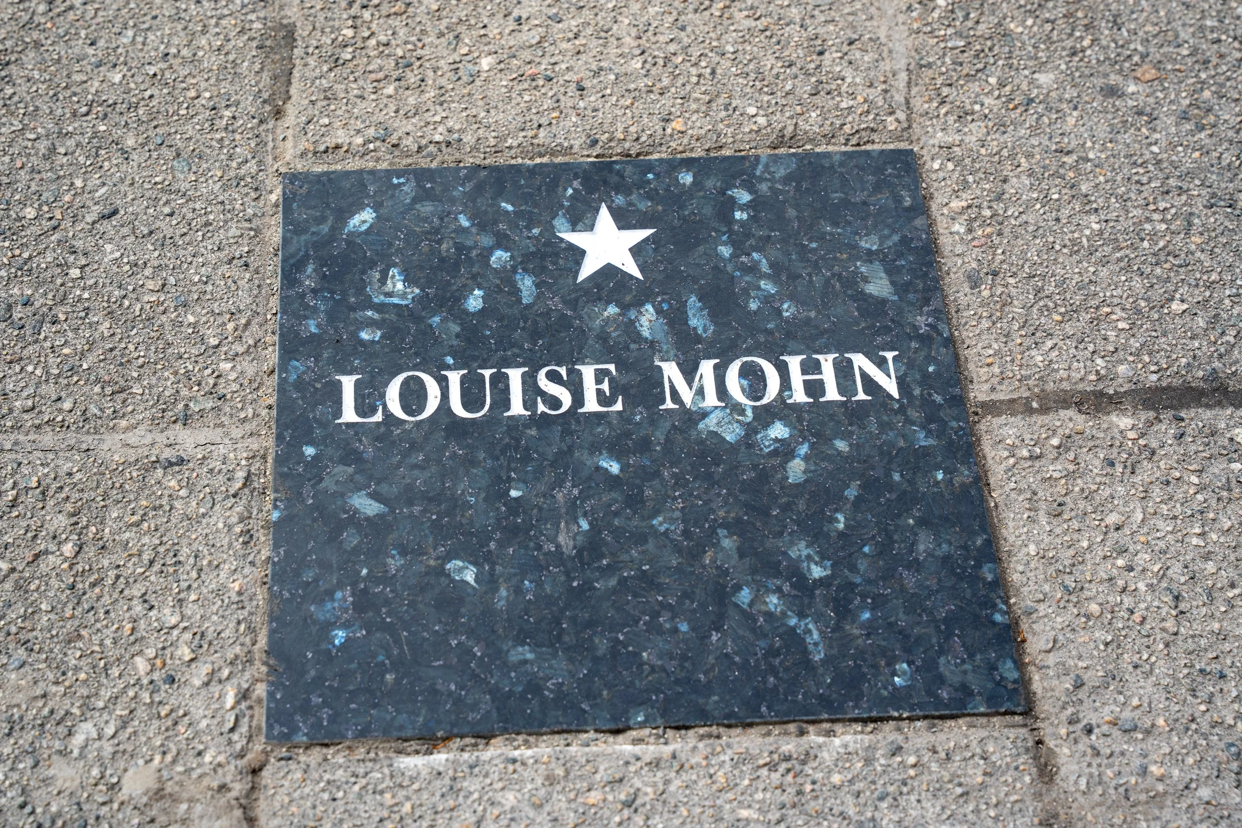 Walk of Fame-00712.jpg