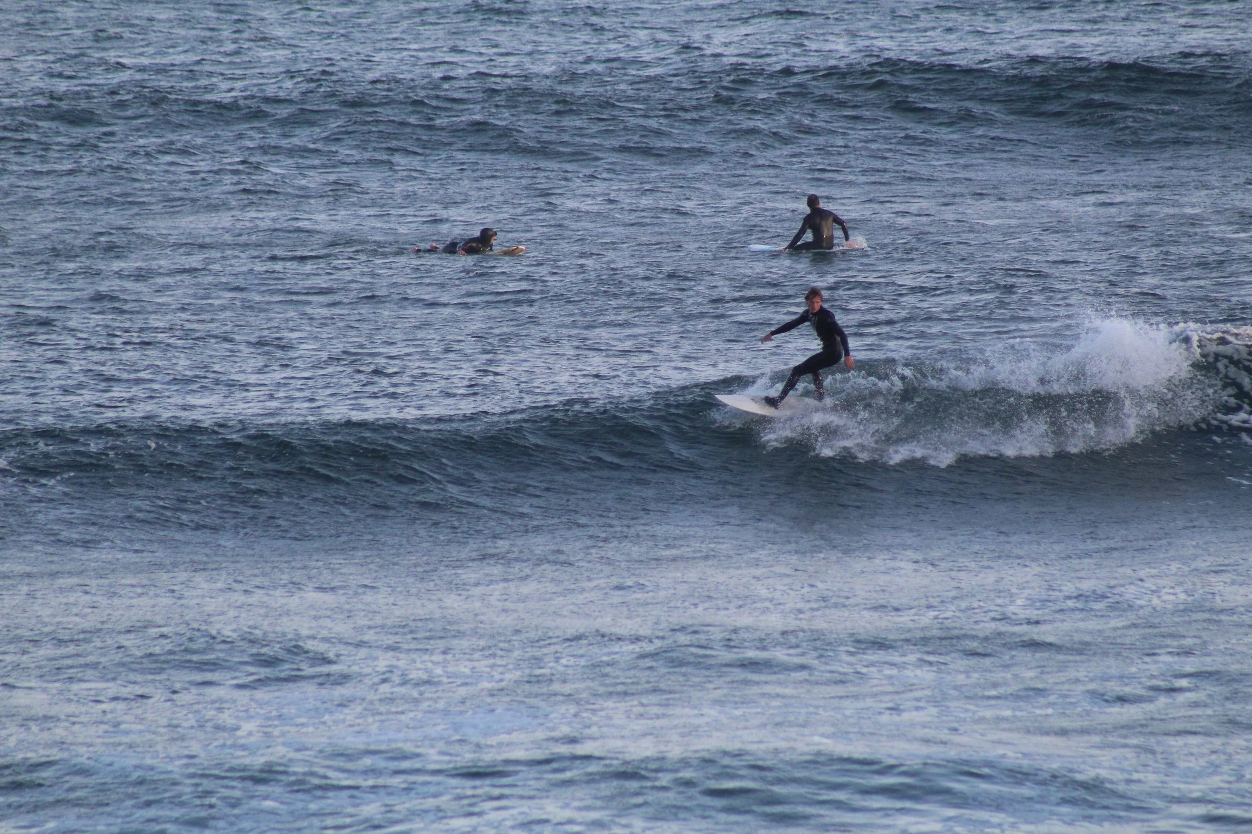 IMG_3941.jpeg