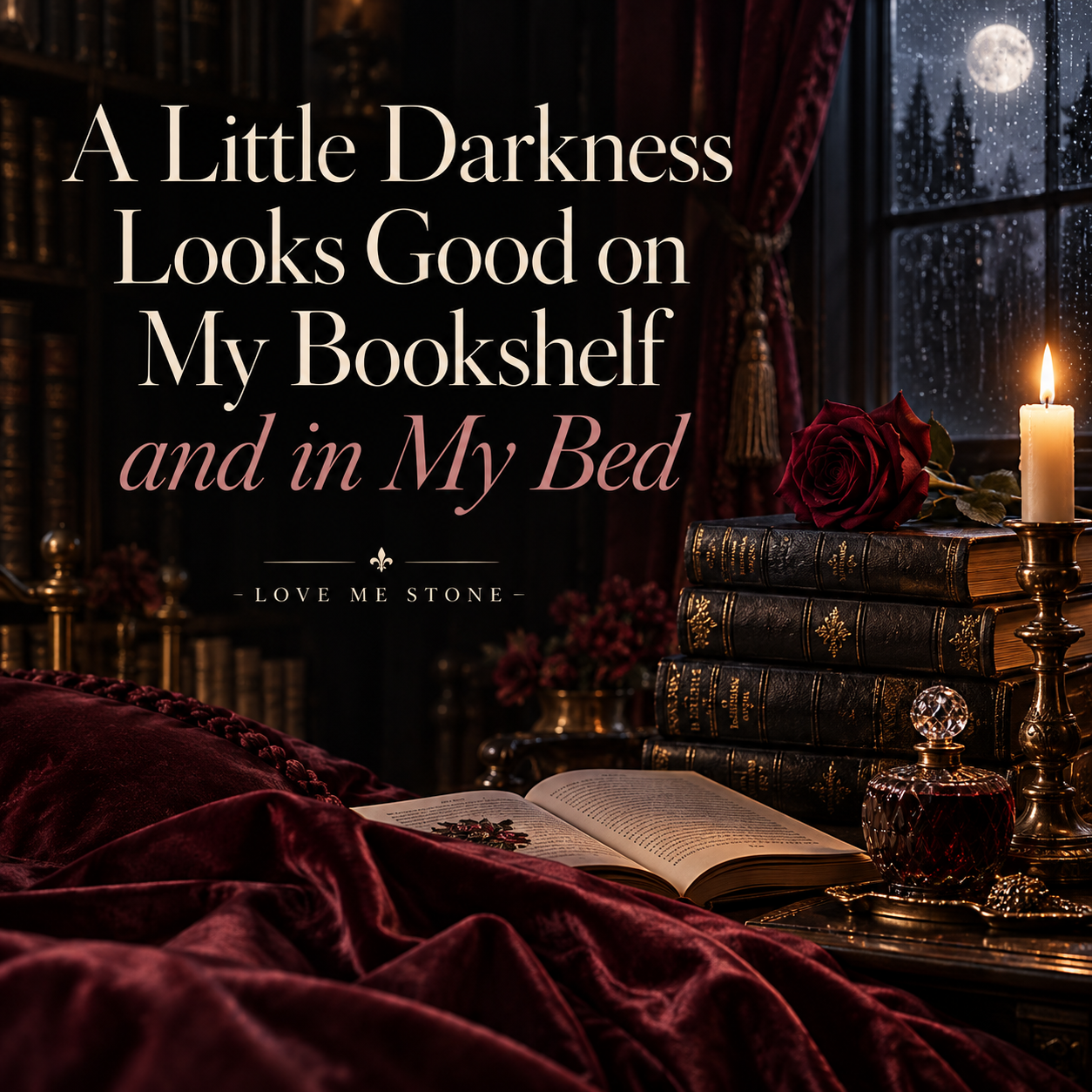 A Little Darkness Looks Good on My Bookshelf and in My Bed