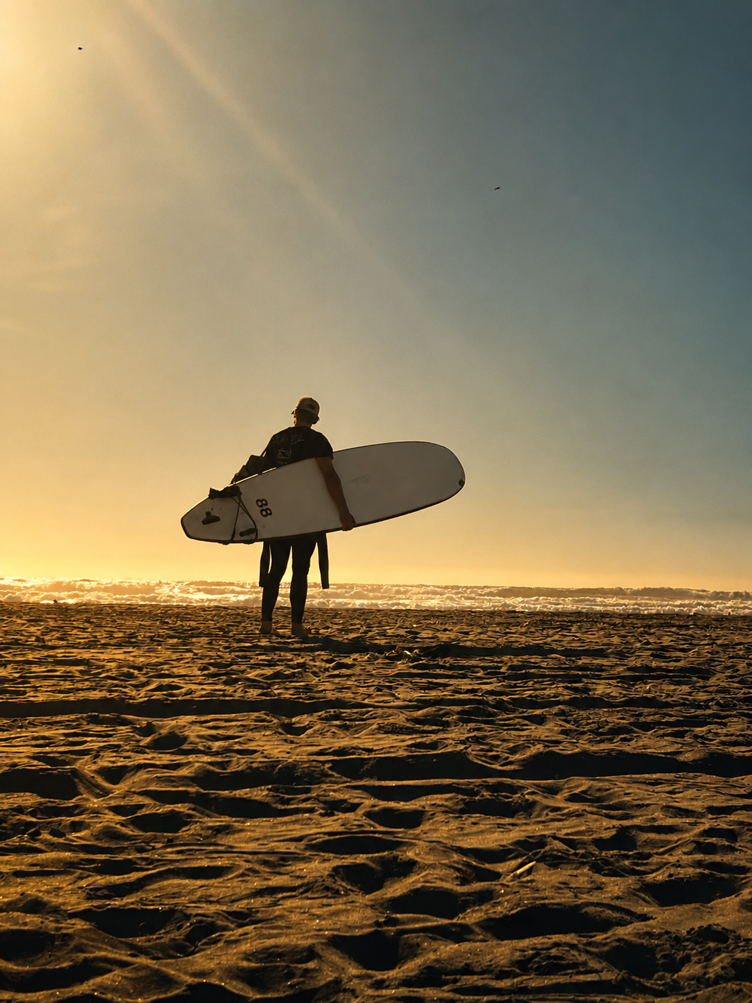 Santa Cruz Surf