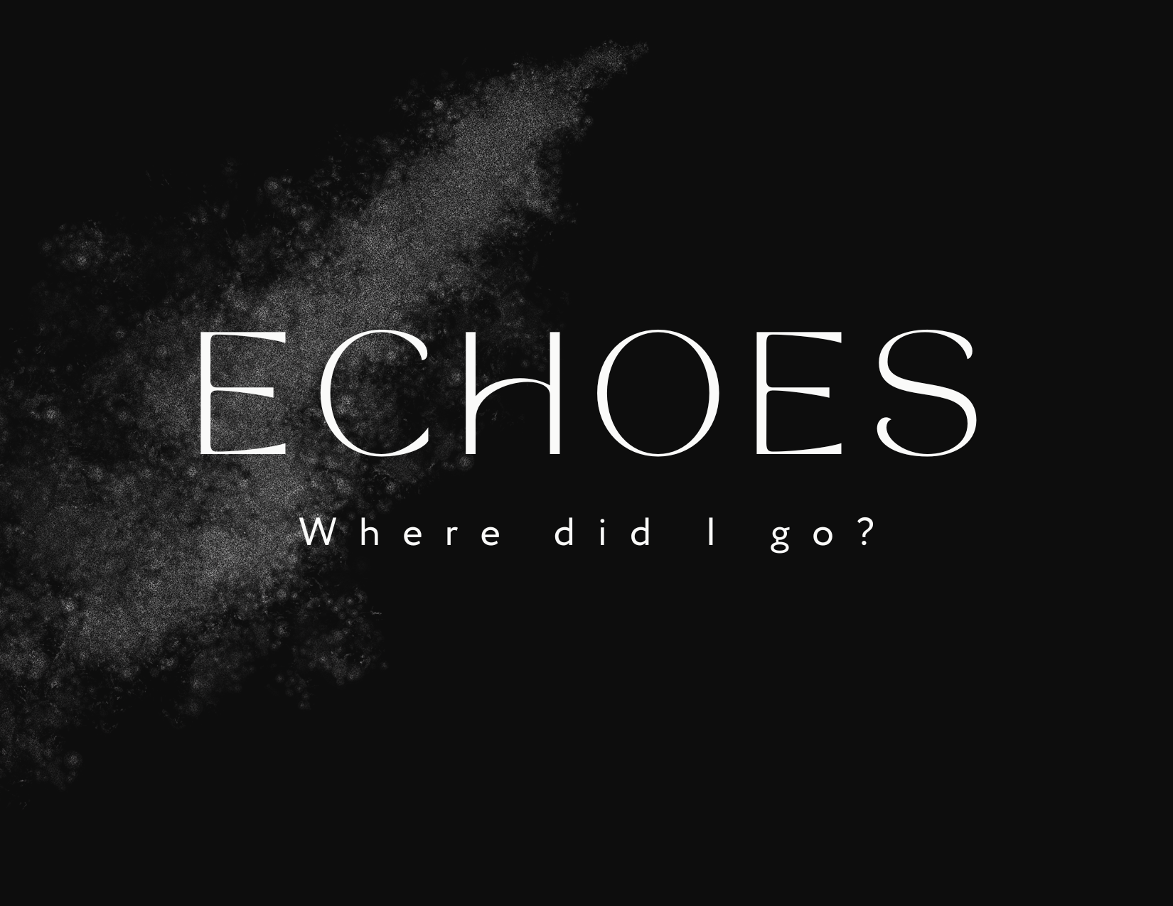 ECHOES Where did I go.png
