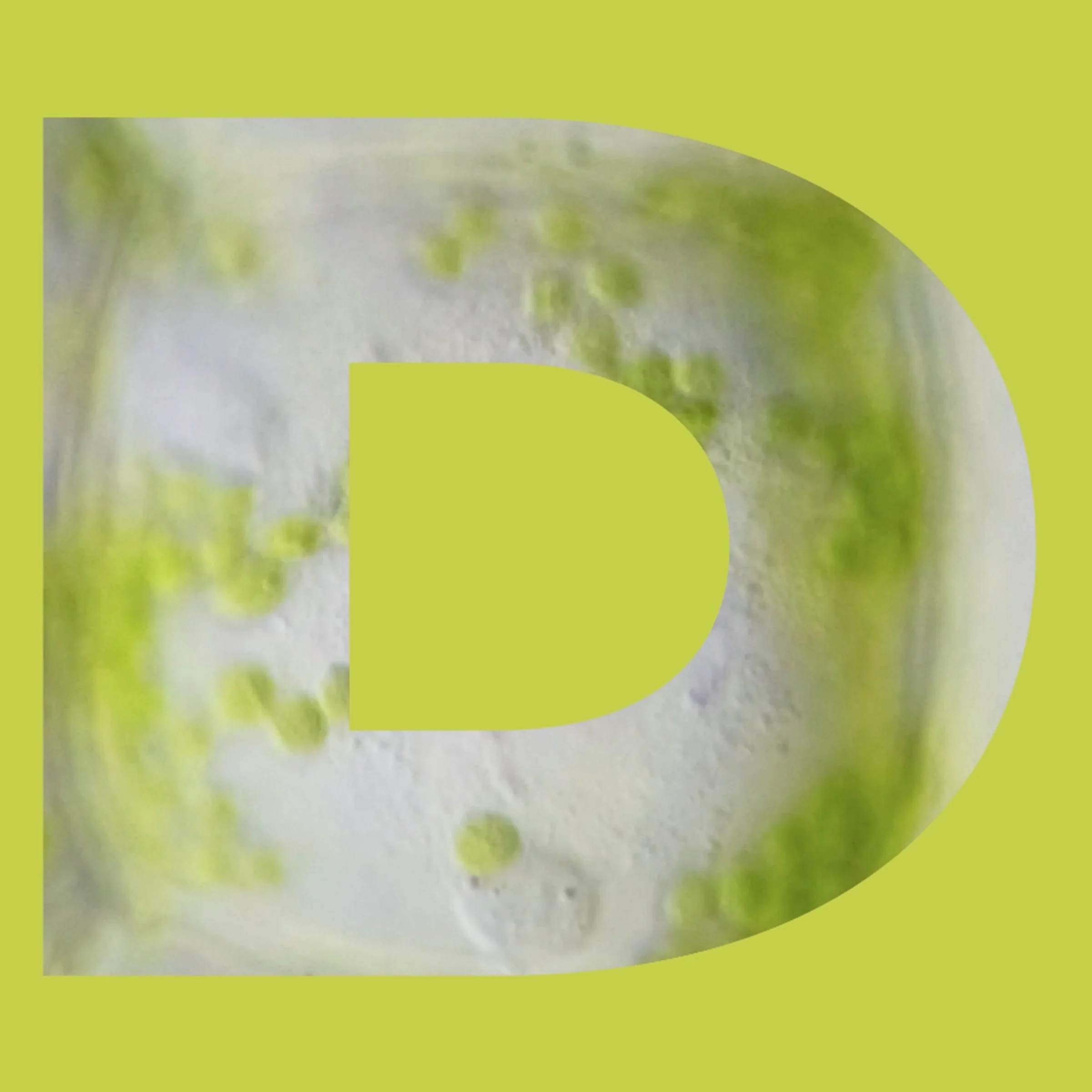 Artboard 17.jpg