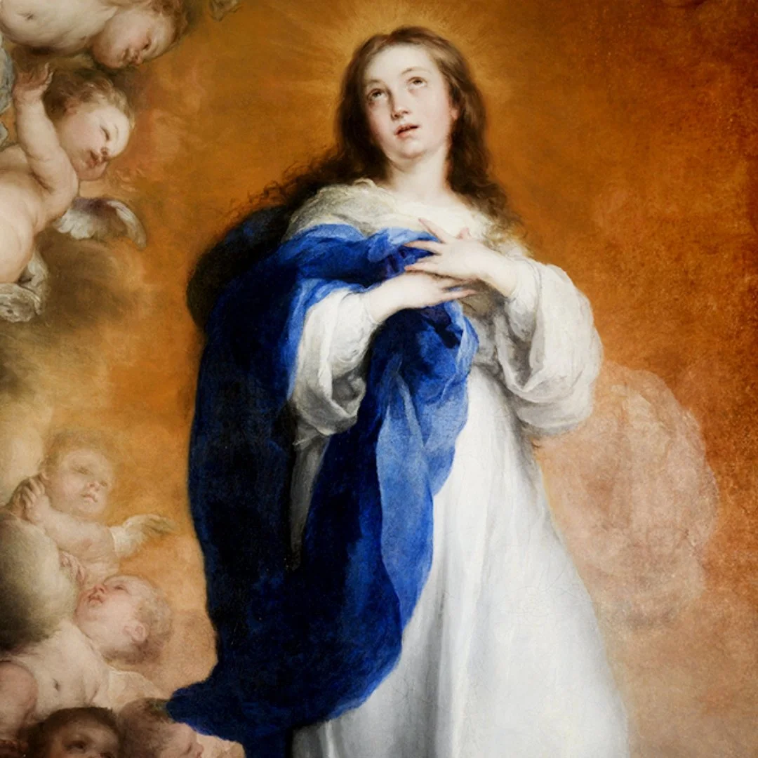 Immaculate Conception Mass &amp; Dinner | Holyday of Obligation