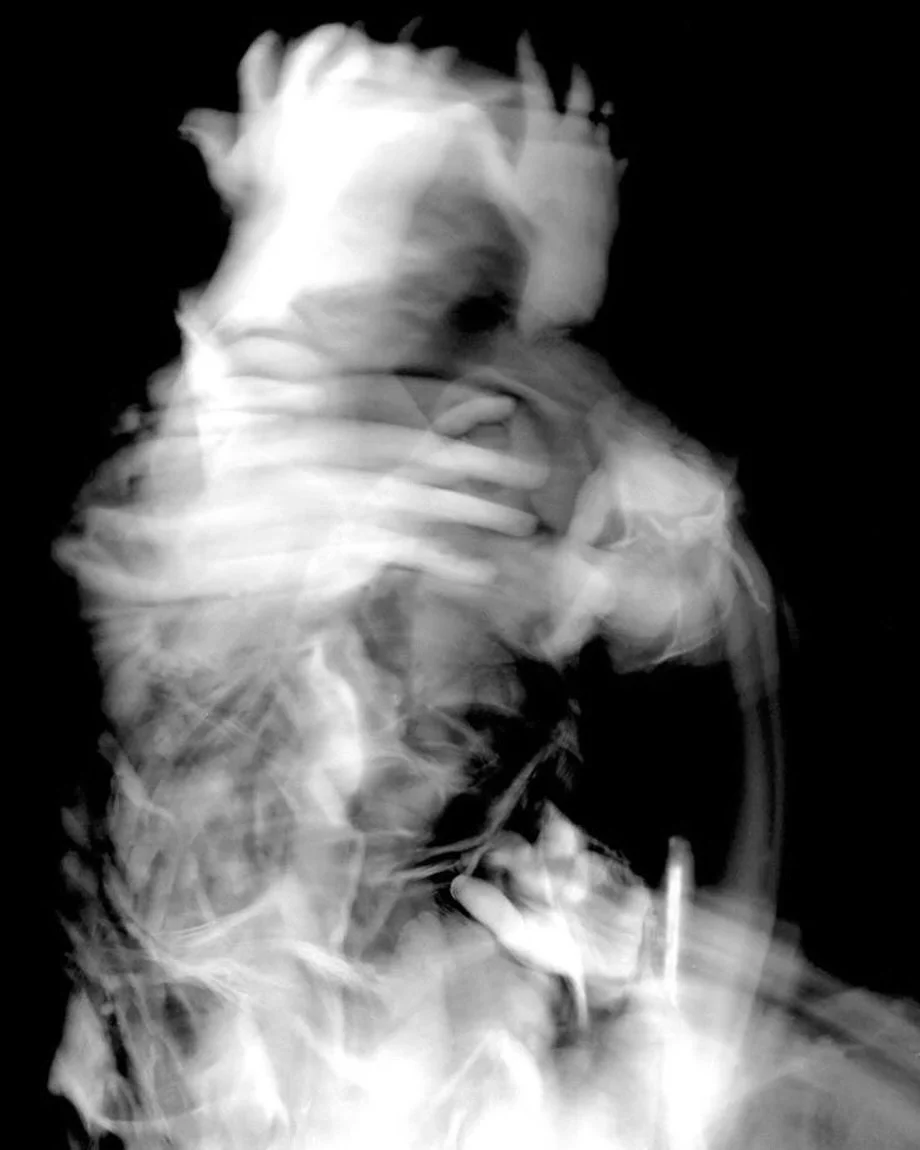 Should we be calling the avoidant discard something else, like an intimate ghosting?
Saying &ldquo;I love you&rdquo; while building a future with someone, only to disappear from their life without explanation?

That&rsquo;s not confusion. That&rsquo;