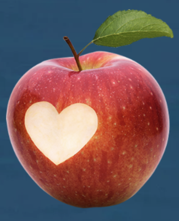 Robinson High School Voter Registration 