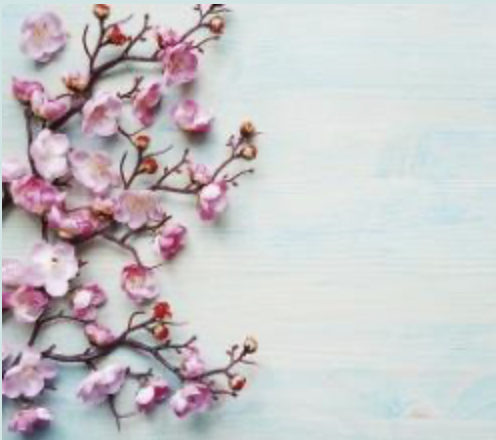 McLean Community Elections