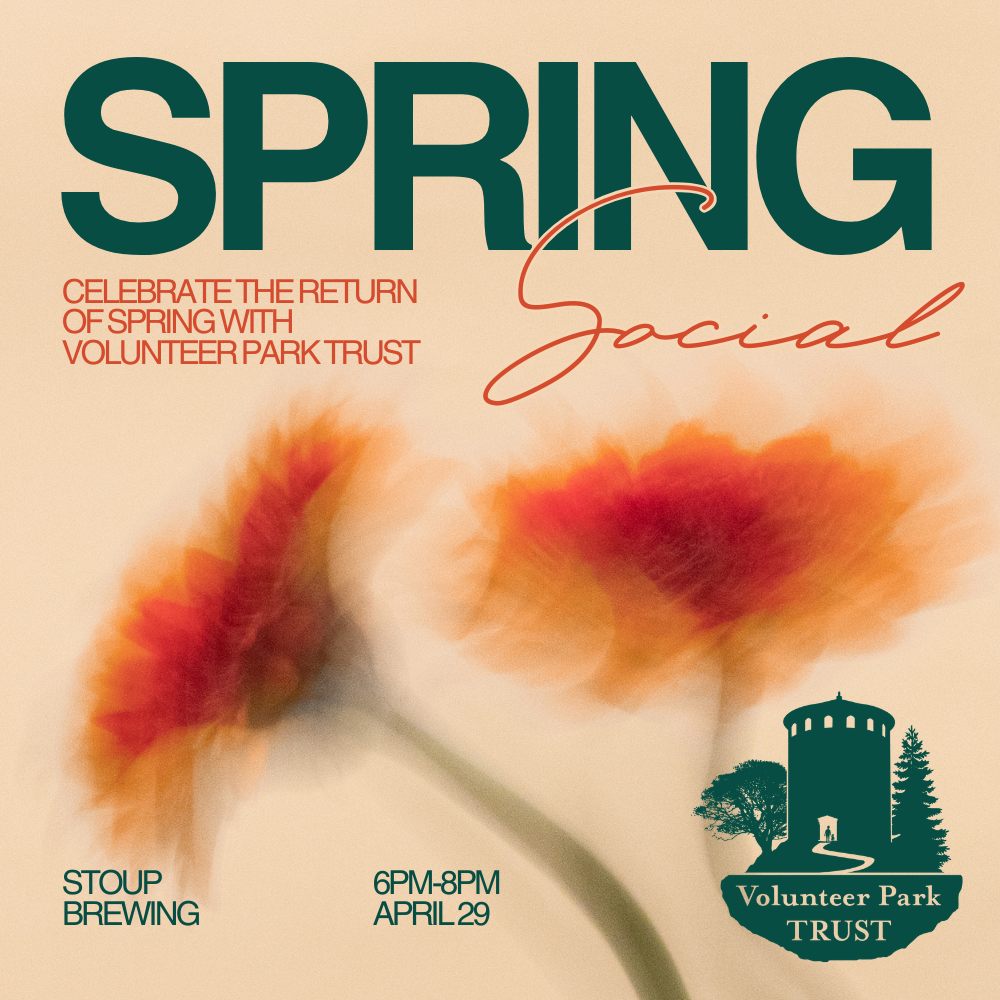 VPT Spring Social
