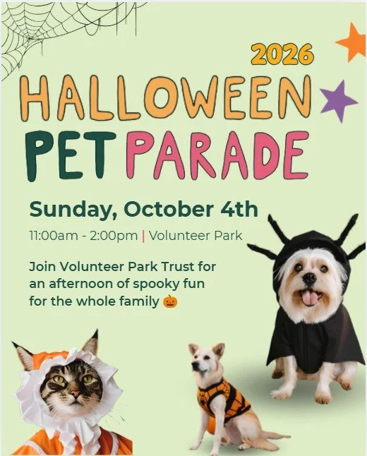 Promo for Halloween Pet Parade