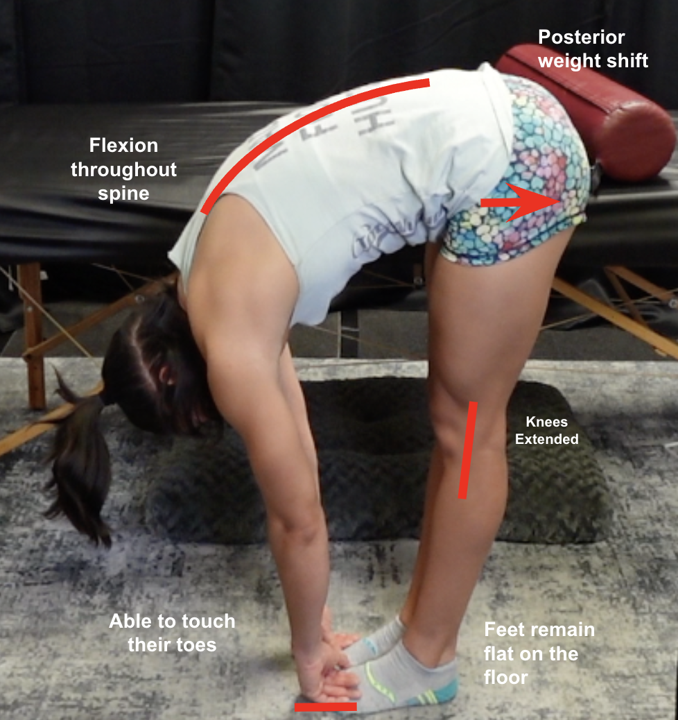 Trunk Movement Assessment Pt. 1: Global Flexion (Patreon Exclusive)
