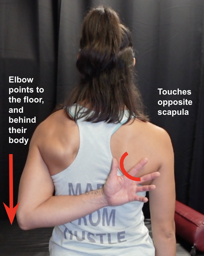 Shoulder Movement Assessment Pt. 1: Apley IRE