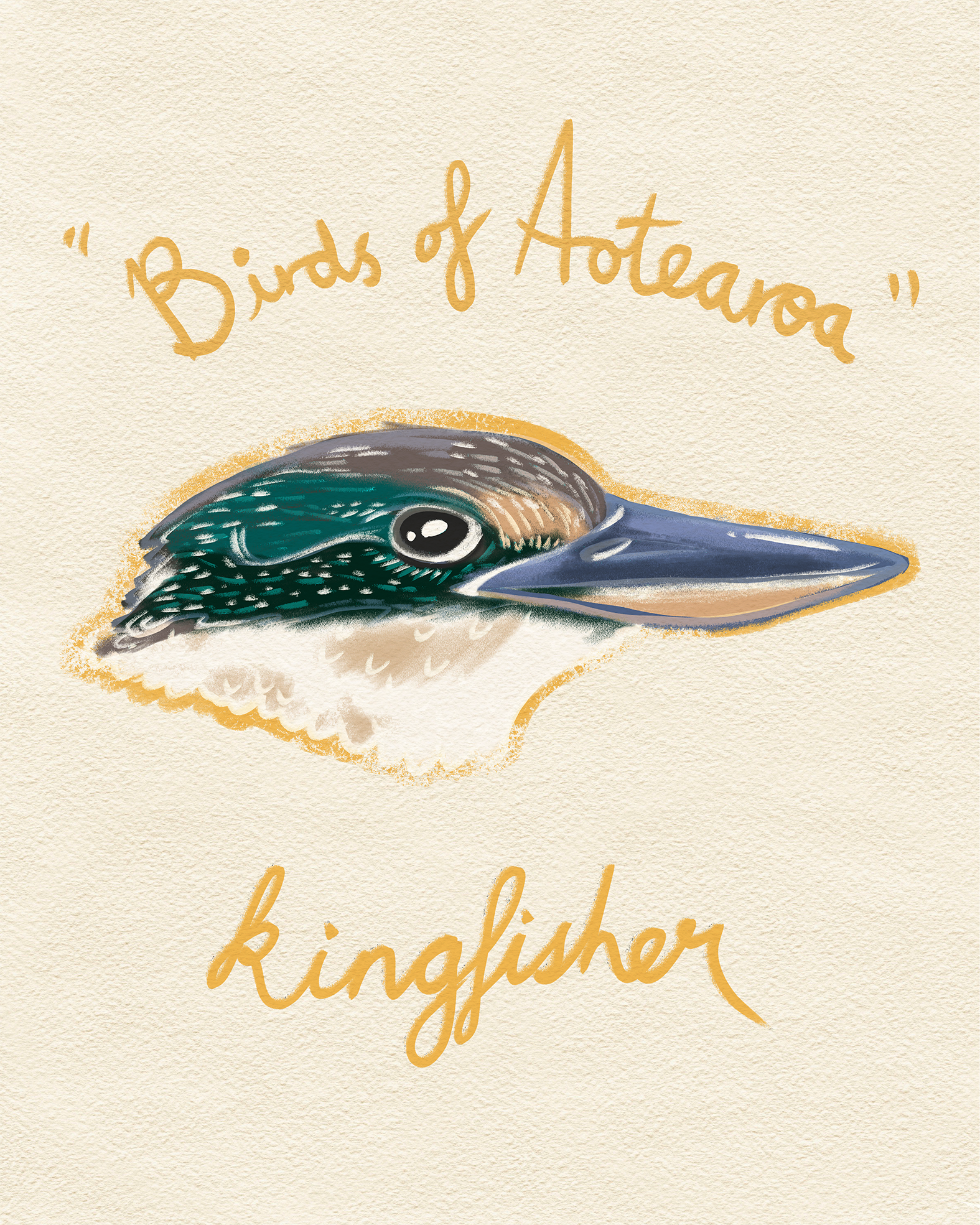 15Kingfisher.png