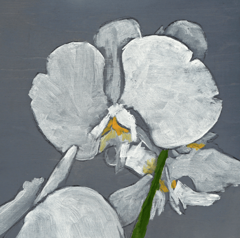 Iris (SOLD)