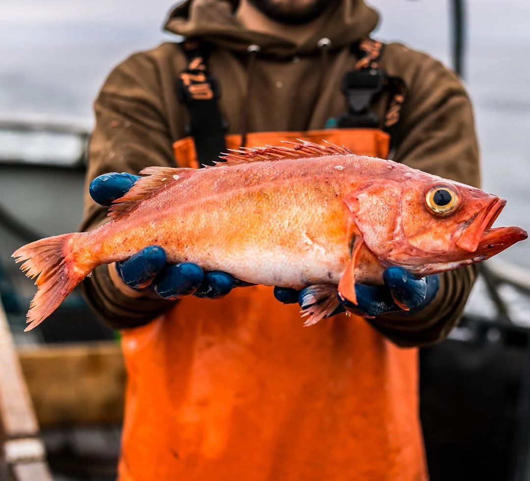 Looking for something to cook this weekend? Stop by the boat and come pick up some delicious fresh fish. It&rsquo;s caught in a sustainable manner so you can eat in peace ✌️ 🐟 ❤️ #eatmorefish #knowyourfisherman #missmoriah
