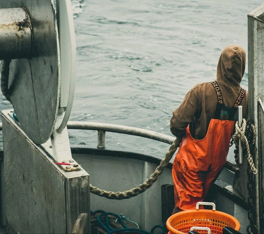 After a few weeks of not so good weather, boat upgrades and gear modifications we are back to fishing. Be sure to check out our friends at @hookfishco they are doing some wonderful things with our Pacific sanddabs. Phot cred @righter.e #commercialfis