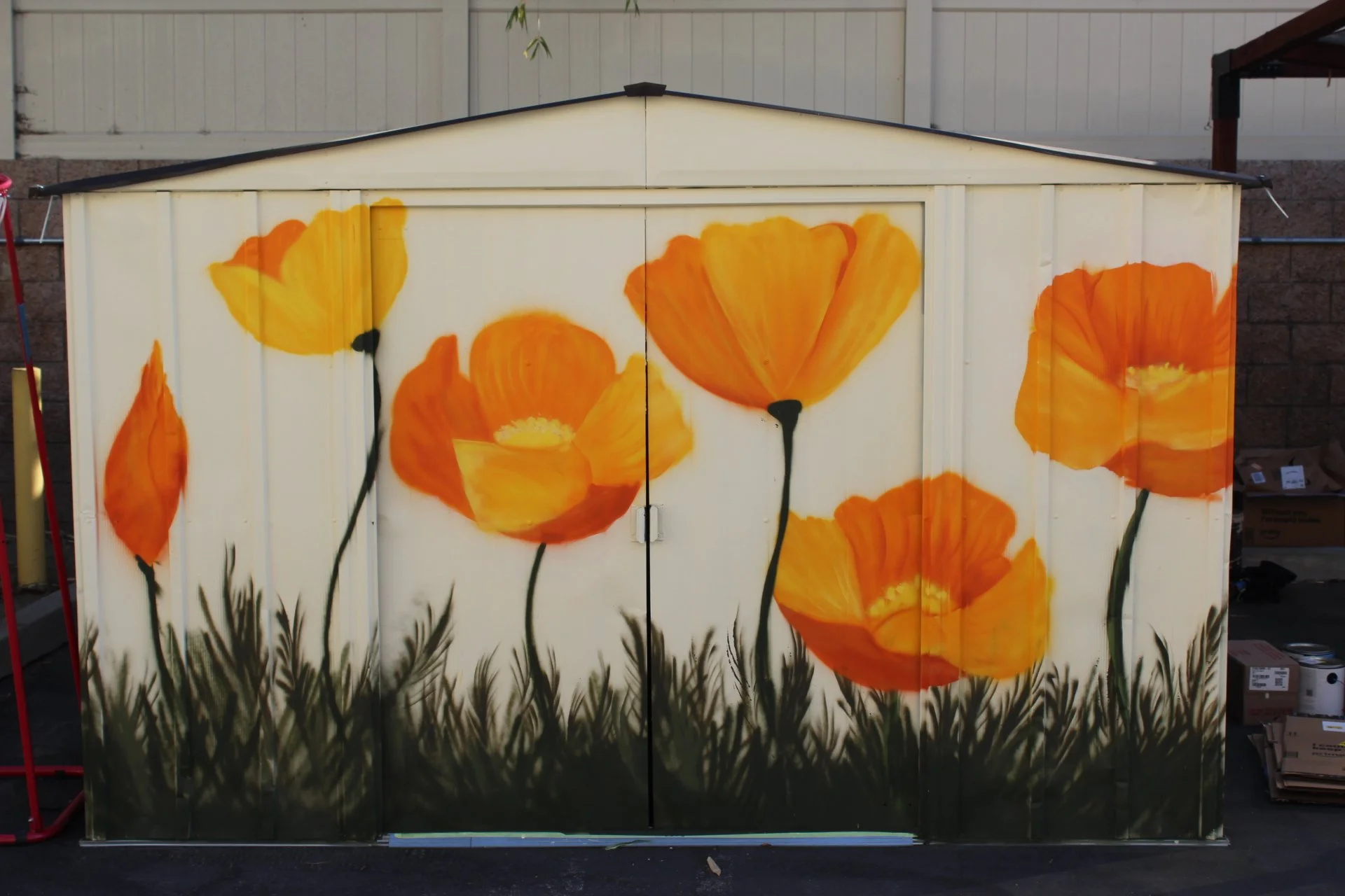 poppies-2.JPG