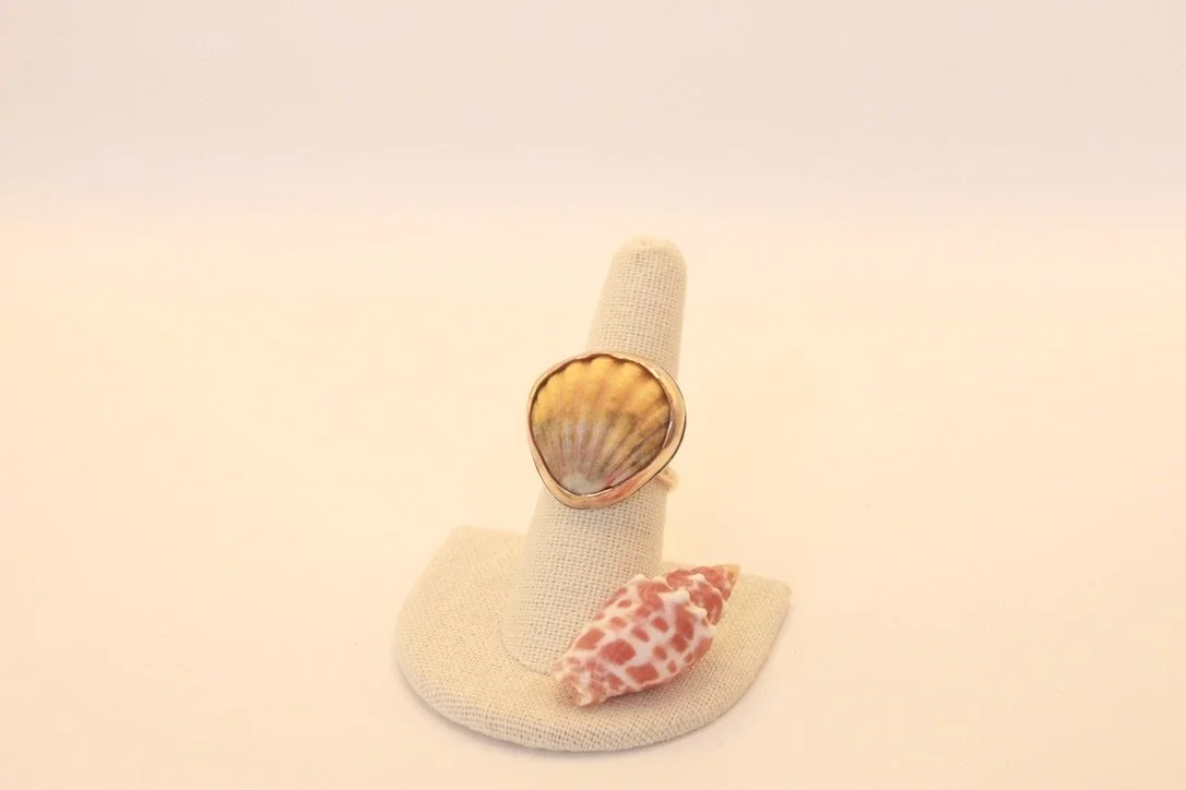 Size 8 14k GF Sunrise Shell Ring