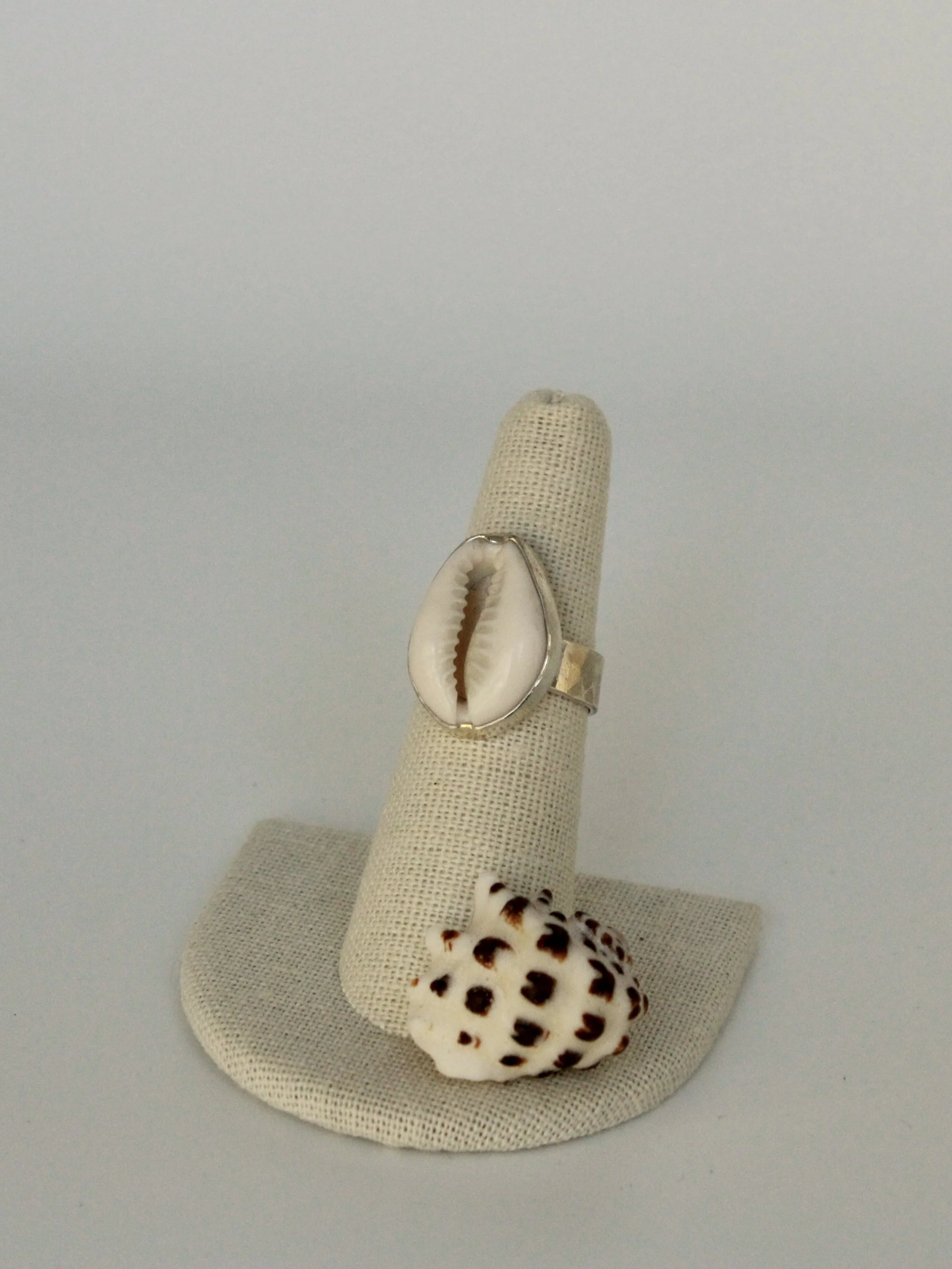 Size 6.5 Sterling Silver Cowrie Ring