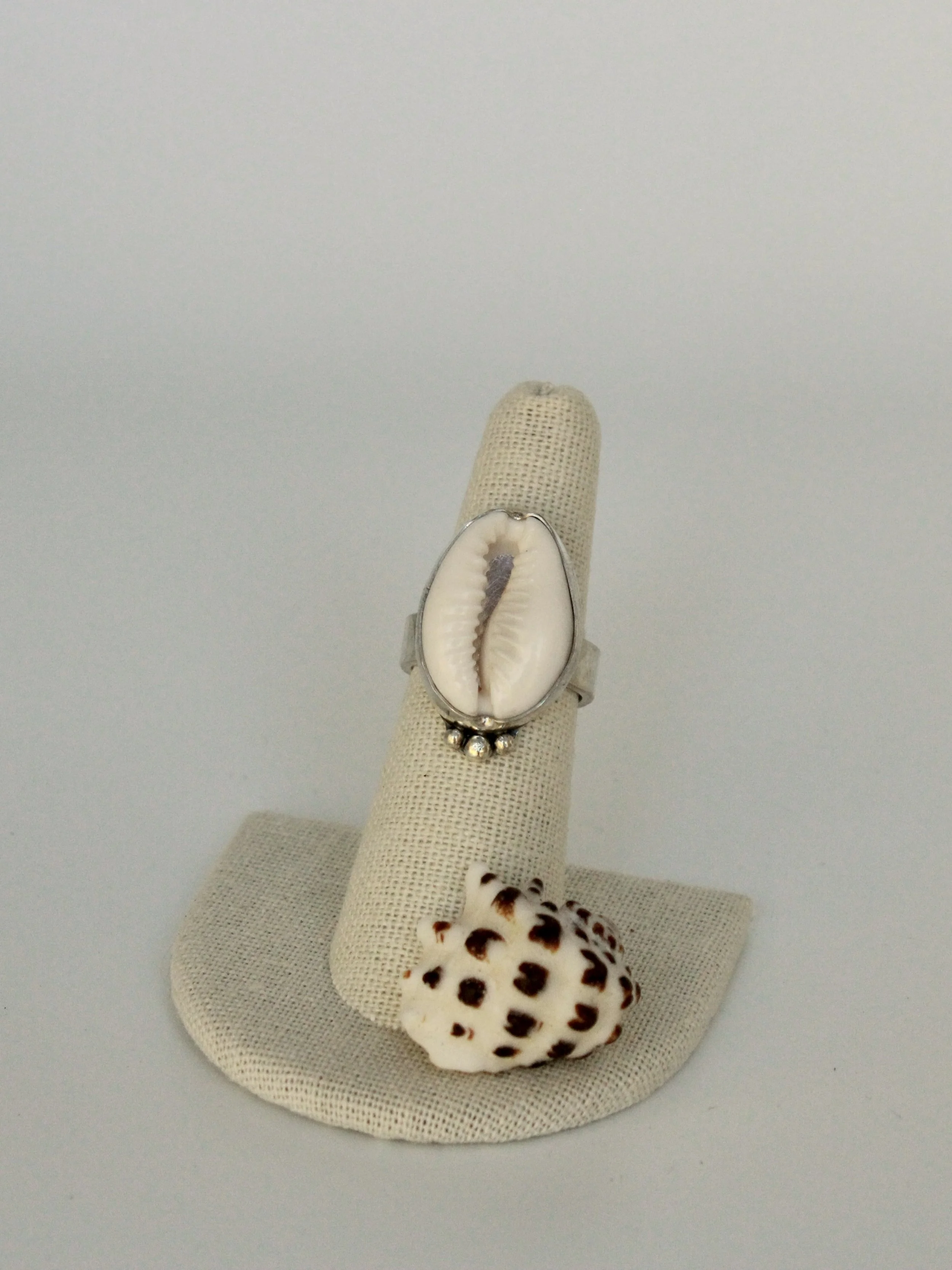 Size 6.5 Sterling Silver Embellished Cowrie Ring