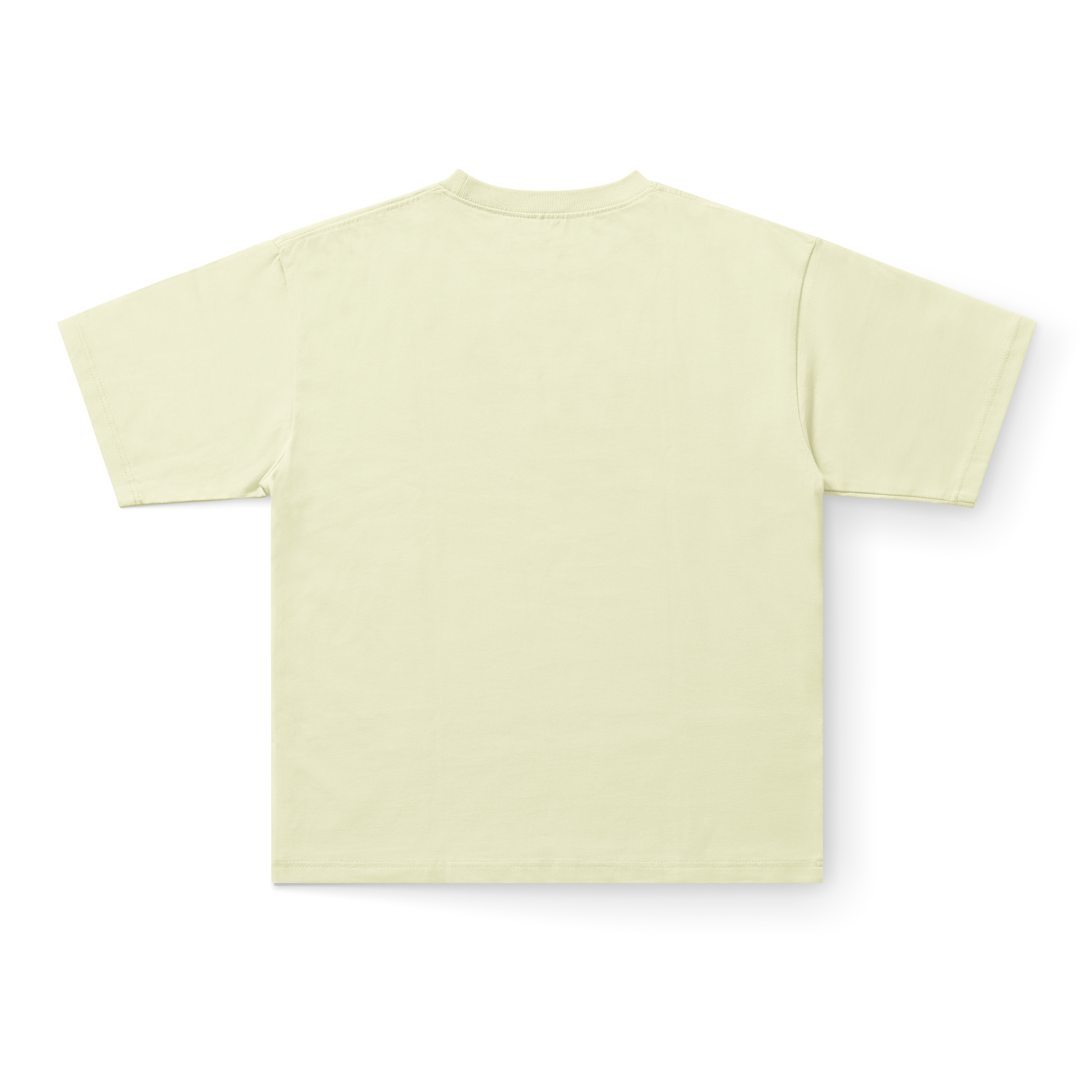 Necessary back.png