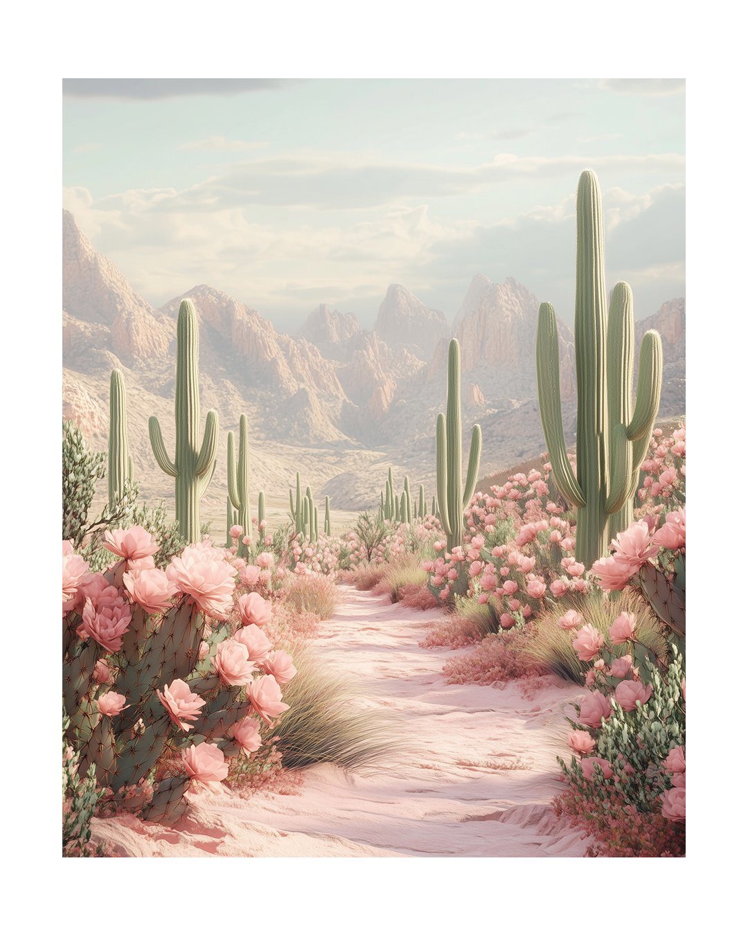 DESERT DREAM PINK PATH