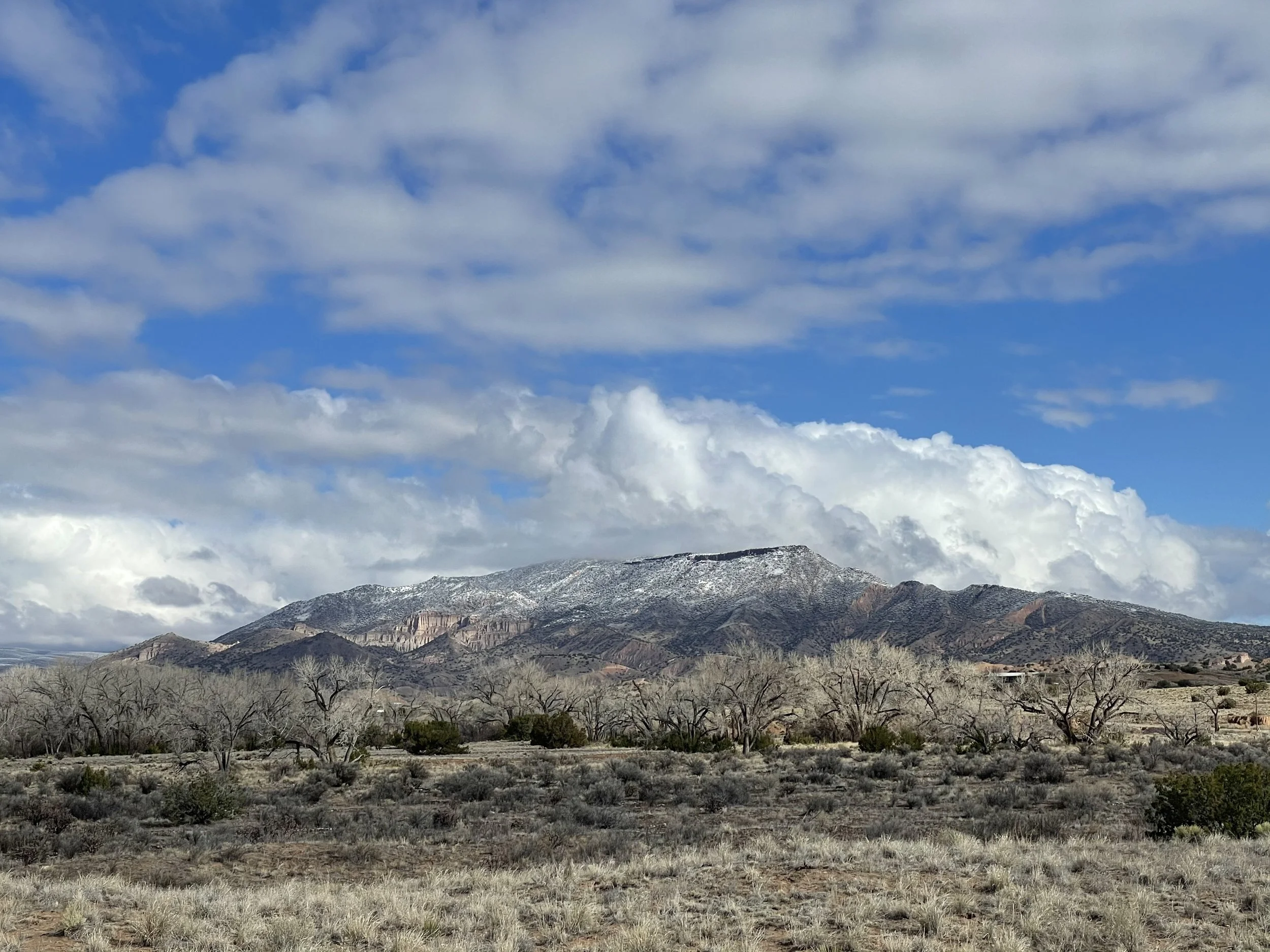 IMG_0013.jpeg