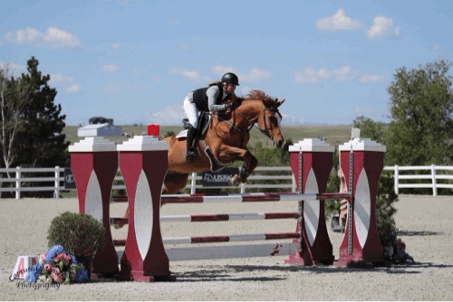IMG_0168.gif