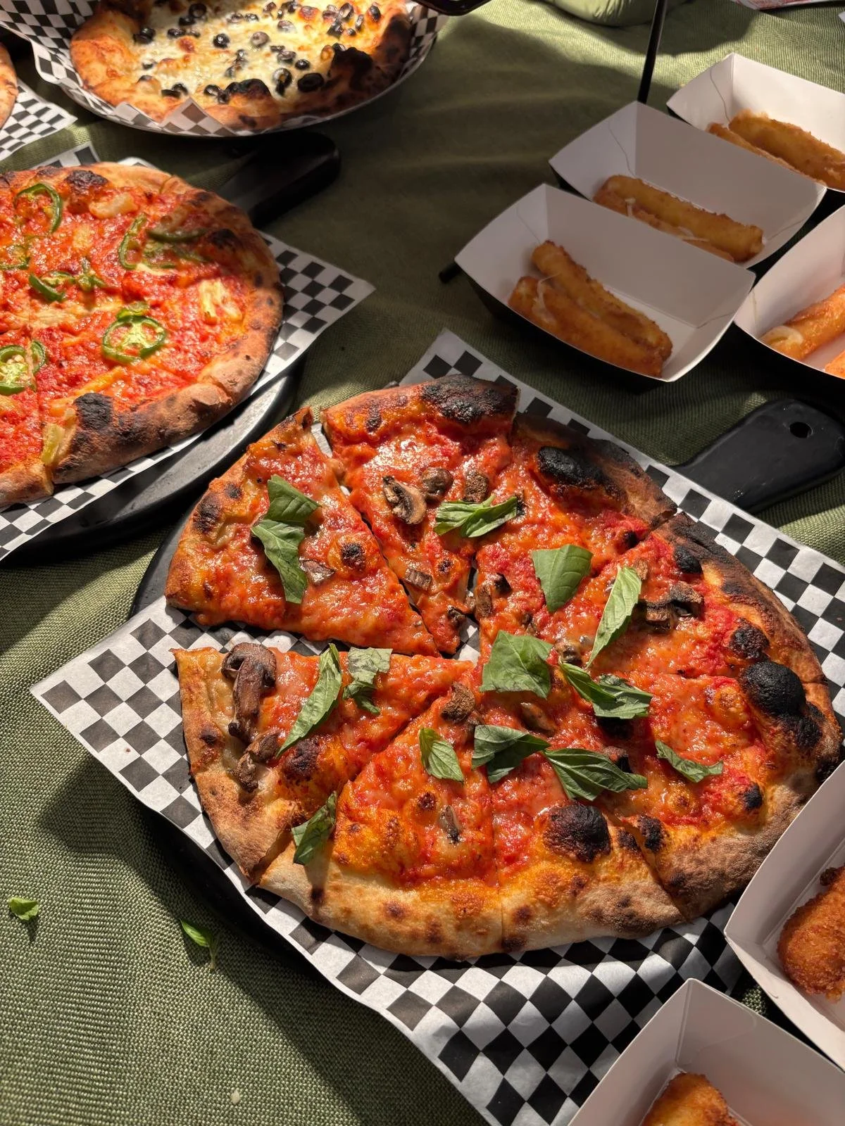 WhatsApp Image 2026-02-15 at 3.37.34 PM.jpeg