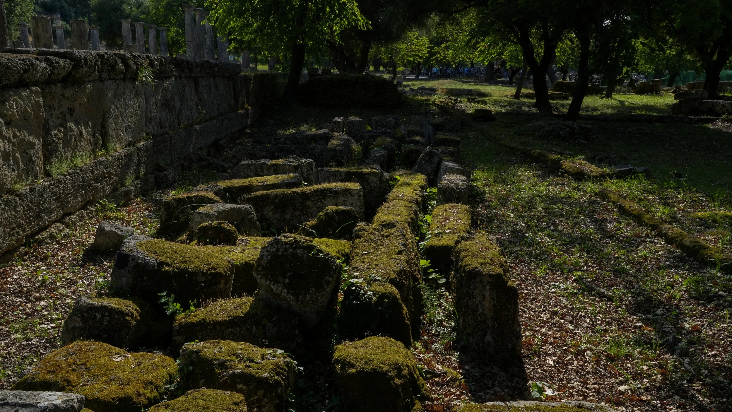 DSC03601-2.jpg