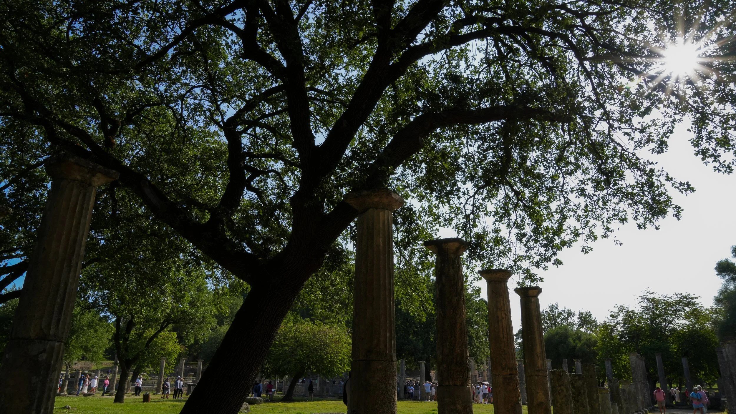 DSC03600-2.jpg