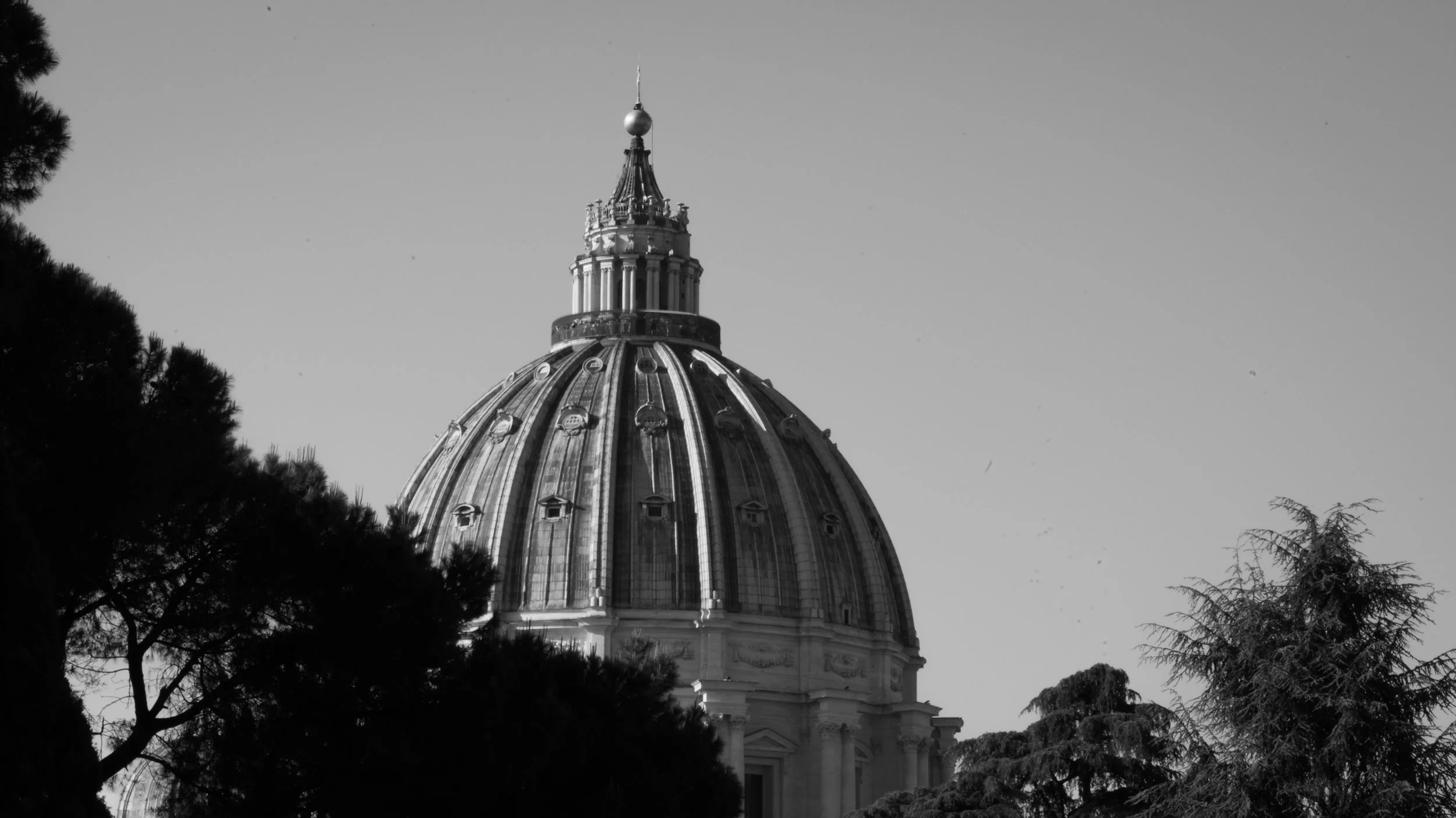 DSC03088-2.jpg