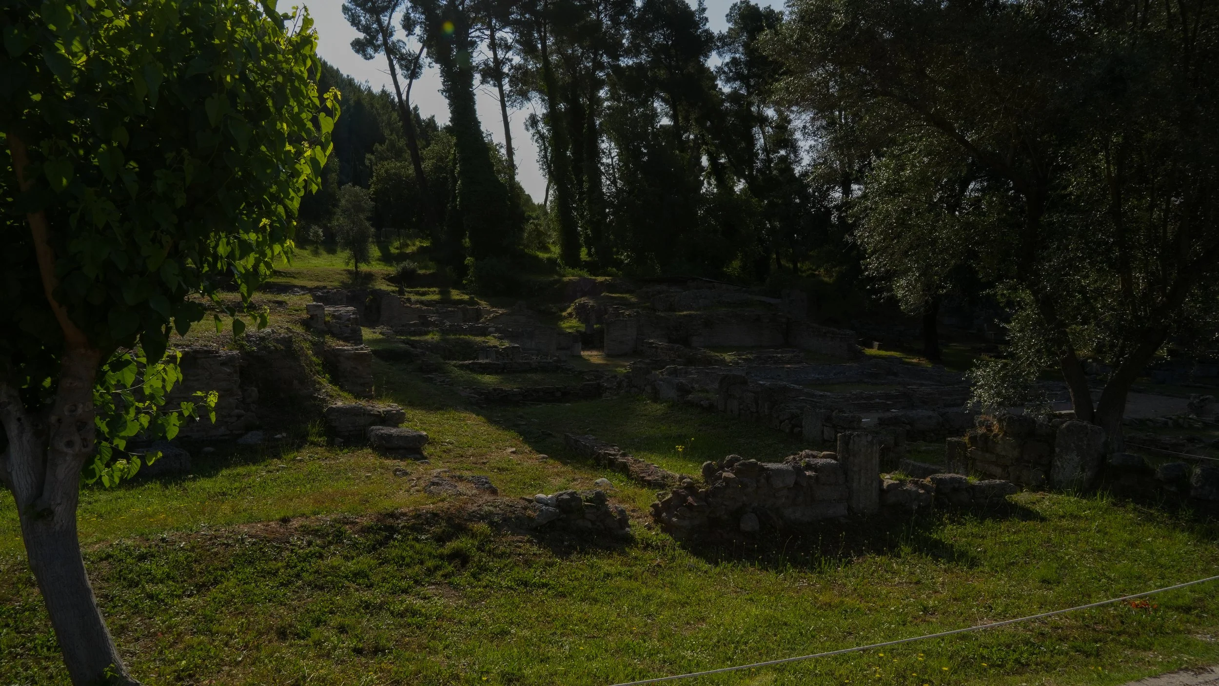 DSC03572-2.jpg