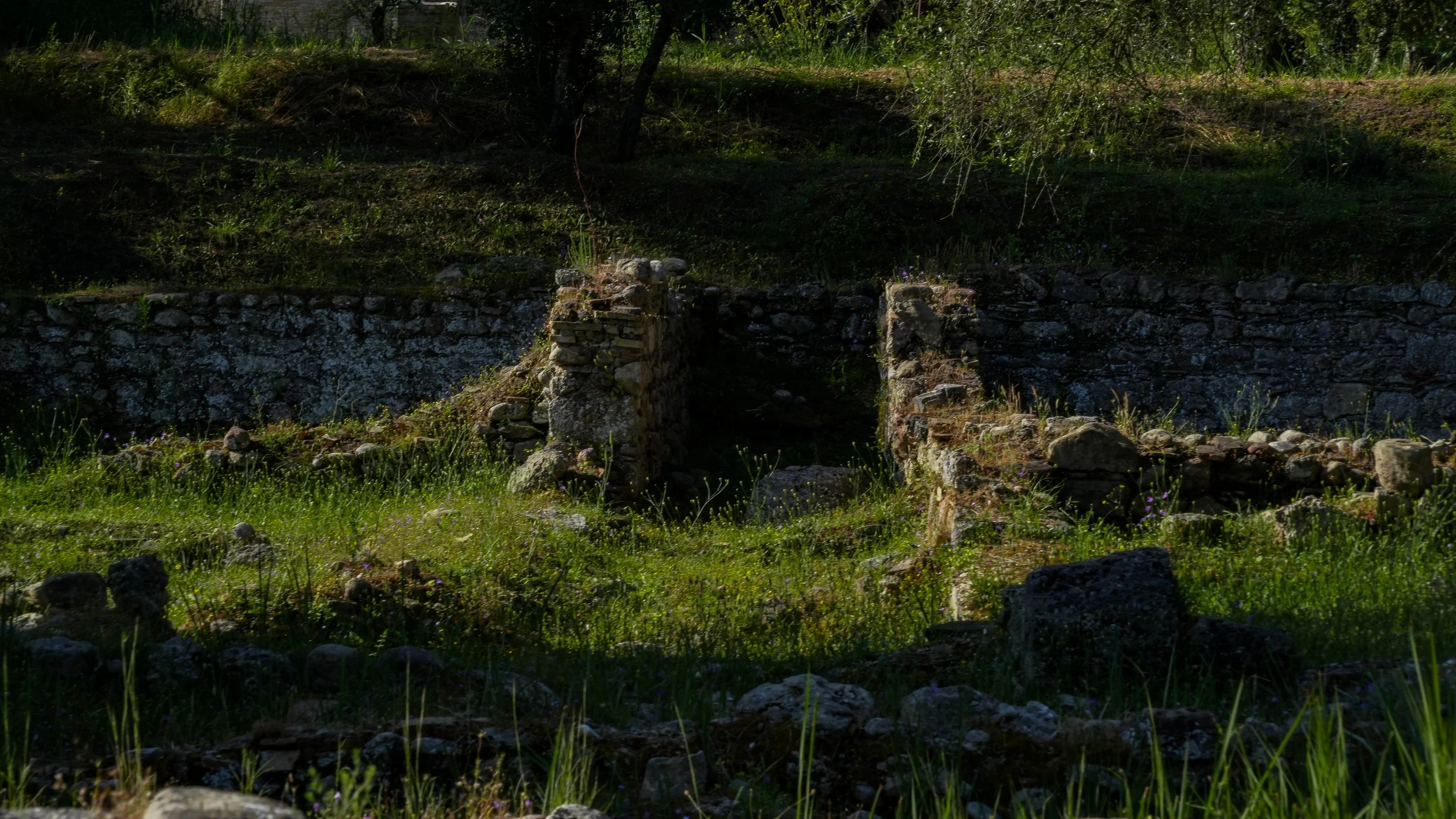 DSC03606-2.jpg